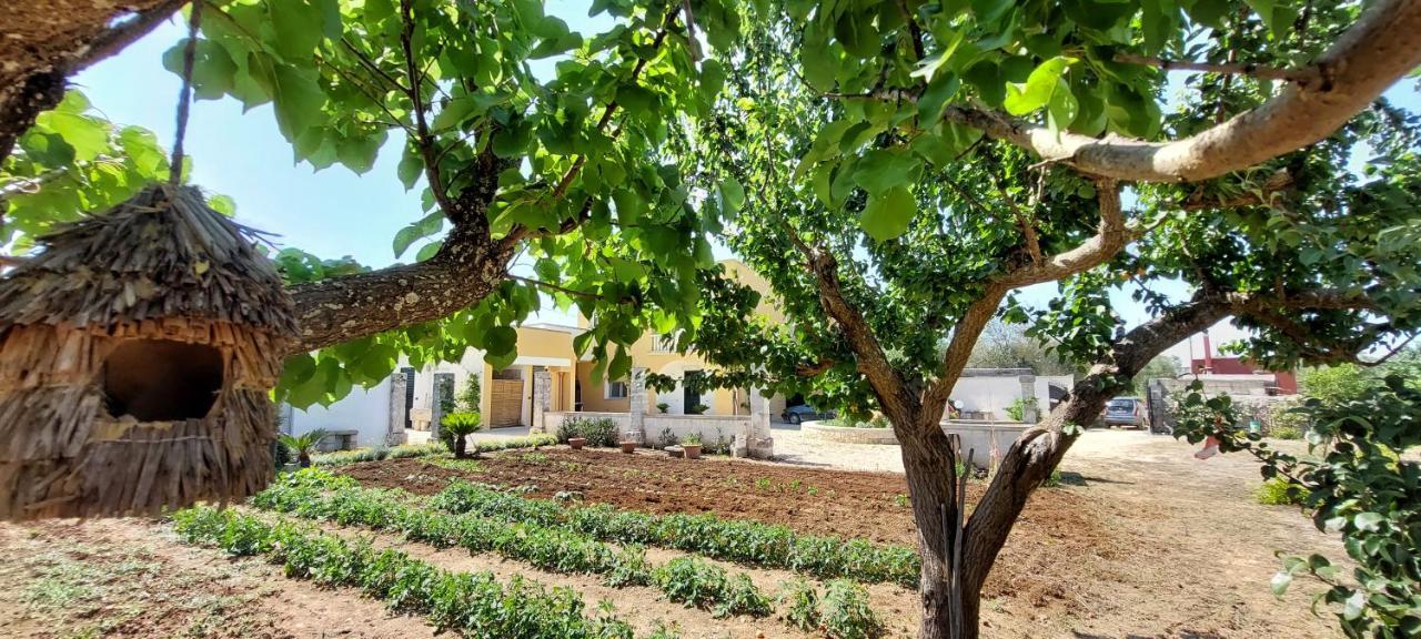 Villa Paradiso Muro Leccese Ngoại thất bức ảnh